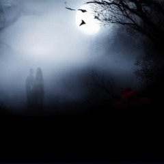 Journey to the night