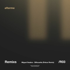 Miguel Seabra - Silhouette (Pekoe Remix)