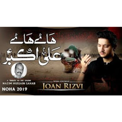 Nohay 2019 - HAYE HAYE ALI AKBAR ع - Nazim Hussain - Joan Rizvi 2019 Noha Ali Akbar