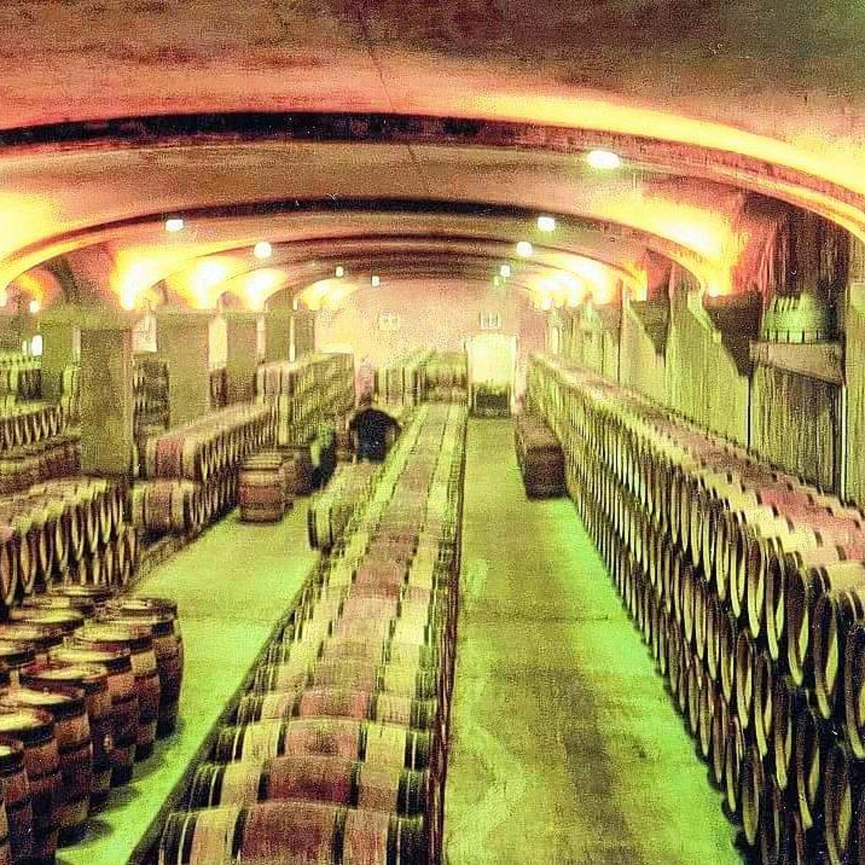 Vin- og matopplevelser