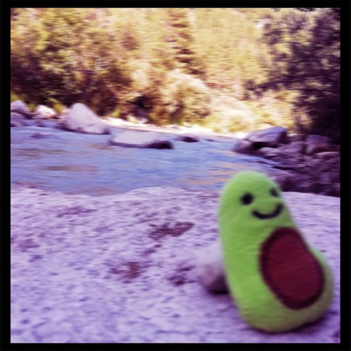 La Brise Blandice (mastering by Rawvage le coreux qui mange les tranceux)