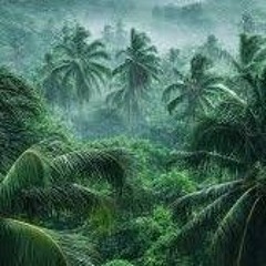 Mixea_LowBright_hd_misty forest (Dance mix).wav
