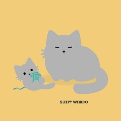 She Likes Spring I Prefer Winter - Slchld