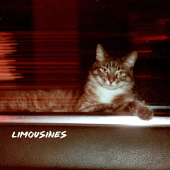 LIMOUSINES '26