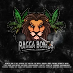 RAGGA BOMBS - Special Mix Vol.13 (Mixed By Baky Jnglst)