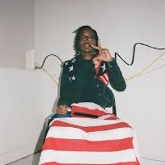 nine vicious - boom bap//cougar bitch