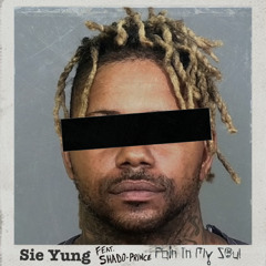 Pain In My Soul (feat. Shado-Prince)