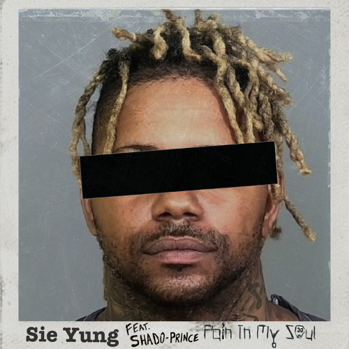 Pain In My Soul (feat. Shado-Prince)