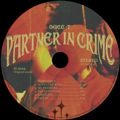 PARTNER IN CRIME