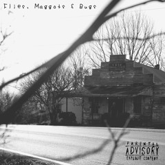 Flies, Maggots & Bugs (feat. Twisted Insane)