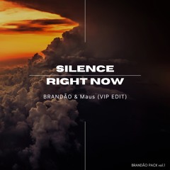 Silence X Right Now (BRANDÃO & Maus)