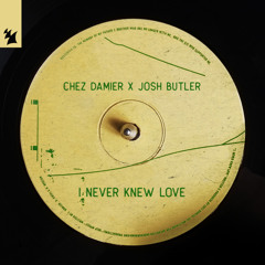 I Never Knew Love
