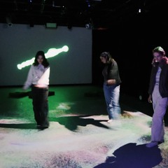 they never told us these things (audio)