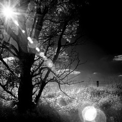 carry the light (draft)