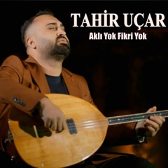 Aklı Yok Fikri Yok