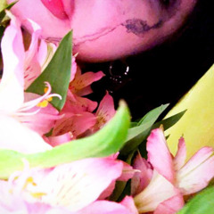 Пишет (+xwesome)