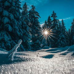 deep story nr. 227 | frozen echoes | by Robert Romain