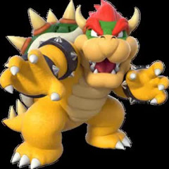 CODE10 / CODE80 -  *bowser attack* **album 08.24**