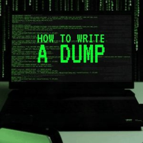 How To Write A Dump (Dj Larva remix)