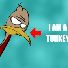 Turkeys by Lemon Demon (secret track)