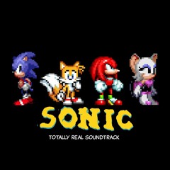 Fancy Meat Computer in the style of Sonic