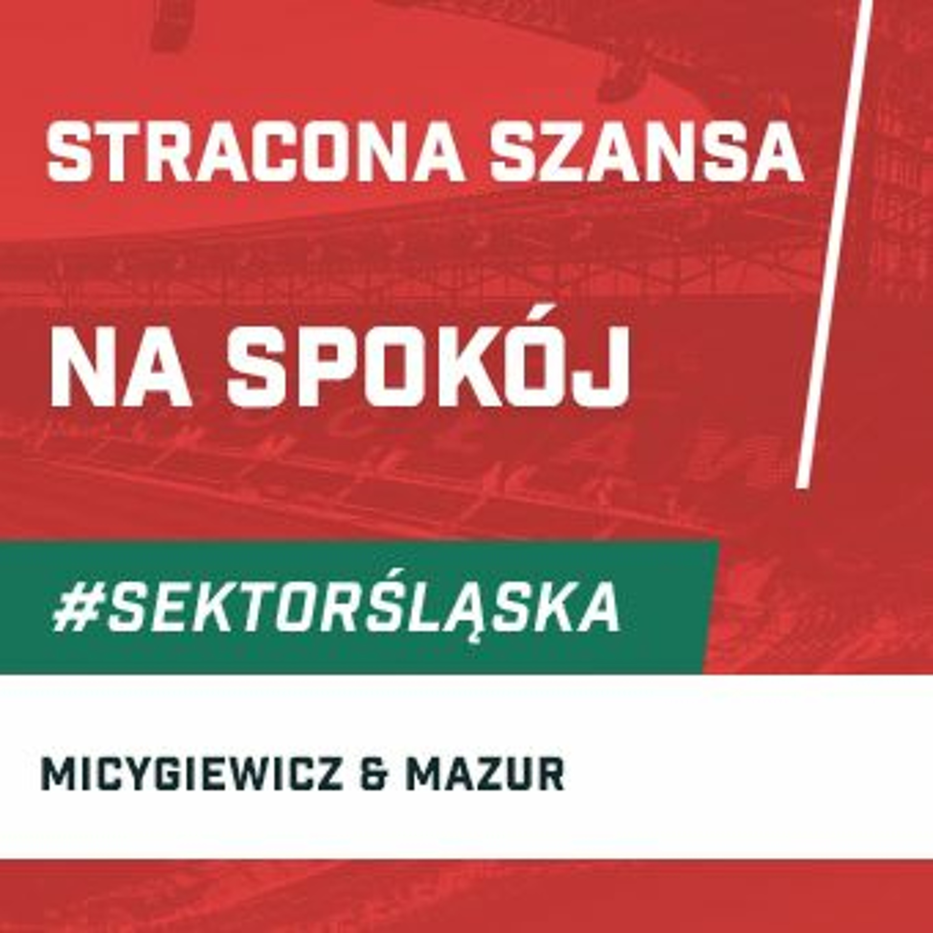 Śląsknet