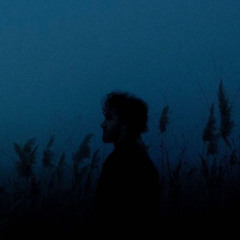 foggy19-quiet
