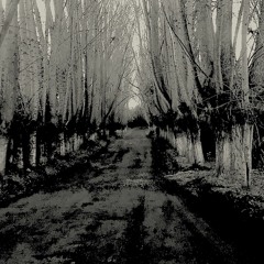 Darkwood