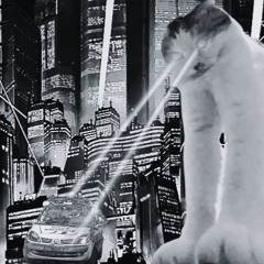 GiantCityCat//IntergalacticTechHouse