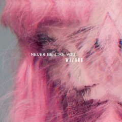 Flume - Never Be Like You (Wizard Afro House Remix)