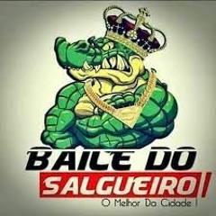 PUTARIA DO SALGUEIRO 25 MIN + RAVE (BAILE DO SALGUEIRO) = DJ DAY ALVES = 002