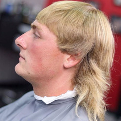 mullet