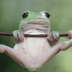 Der Leckfrosch