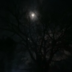 @1313 - geschlossener Kreis & dollmight