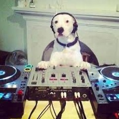 The DJ Saved my Life