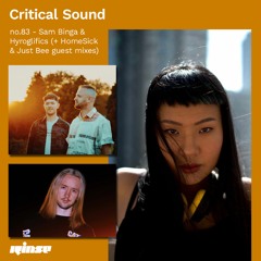 Critical Sound no.83 - Sam Binga & Hyroglifics (w/ HomeSick & Just Bee guest mix) | Rinse | 07.10.20