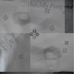 Untoldly Footprint