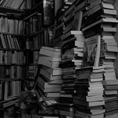 Підмогильний Валер'ян «Місто» ч.13