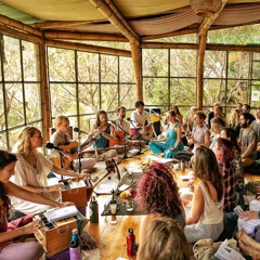 Live in the Forest