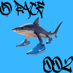@ PACE // 002
