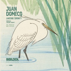 Juan Domecq - Lakeside Serenity (BiGz Remix)