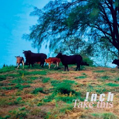 04 - Words Before Strike Back 反擊前言