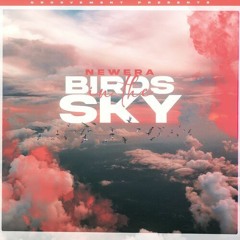NEWERA (REMIX)- BIRDS IN THE SKY KARL MAC
