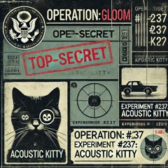 Acoustic Kitty - Black/Tuesday [Operation GLOOM]