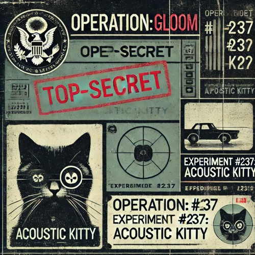 Acoustic Kitty - Black/Tuesday [GLOOM Resistance] cover