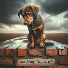 Not Doin Okay, Okay?