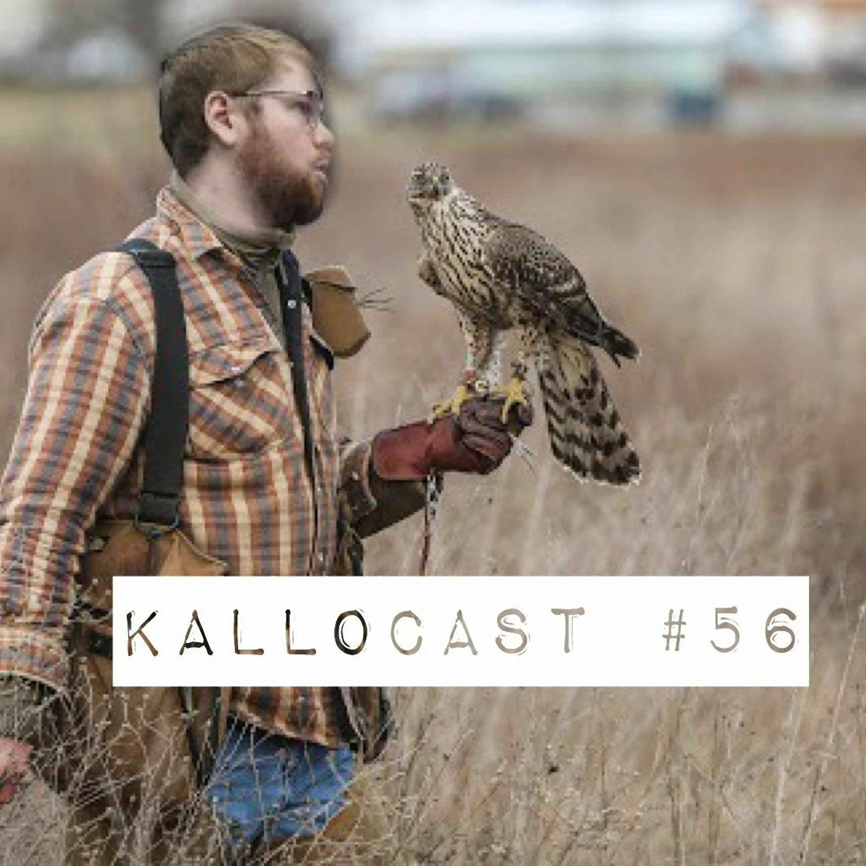 Pääkallon podcastit