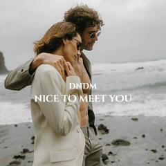 DNDM - Nice To Meet You (Original Mix)