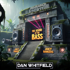 Sound Of The Bass (Original Mix)