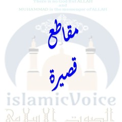 - أسأل نفسك - محمد بن محمد المختار الشنقيطي